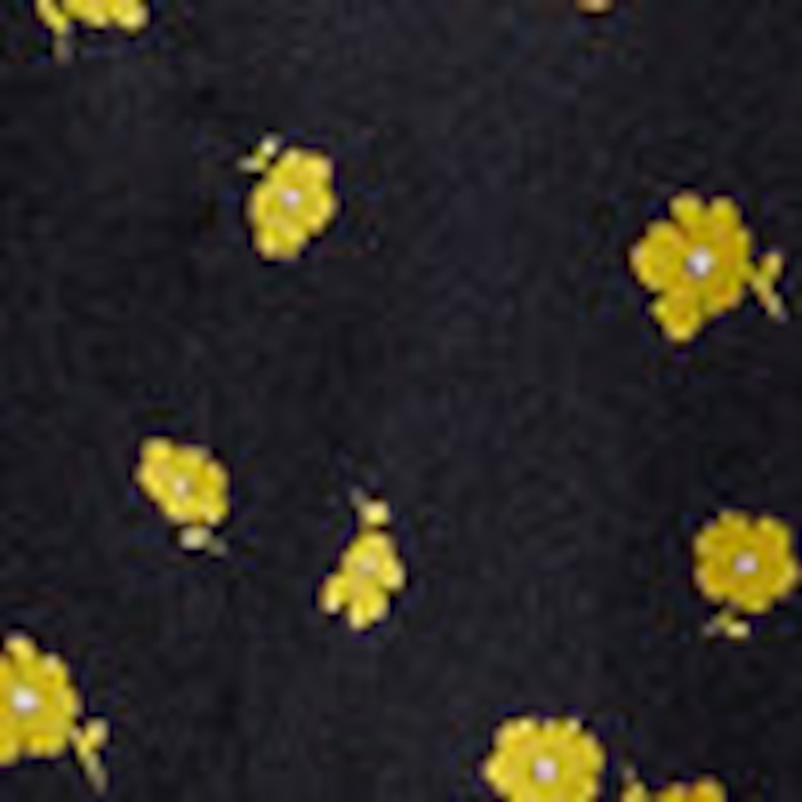Image of Camisa de seda ajustada a la cintura