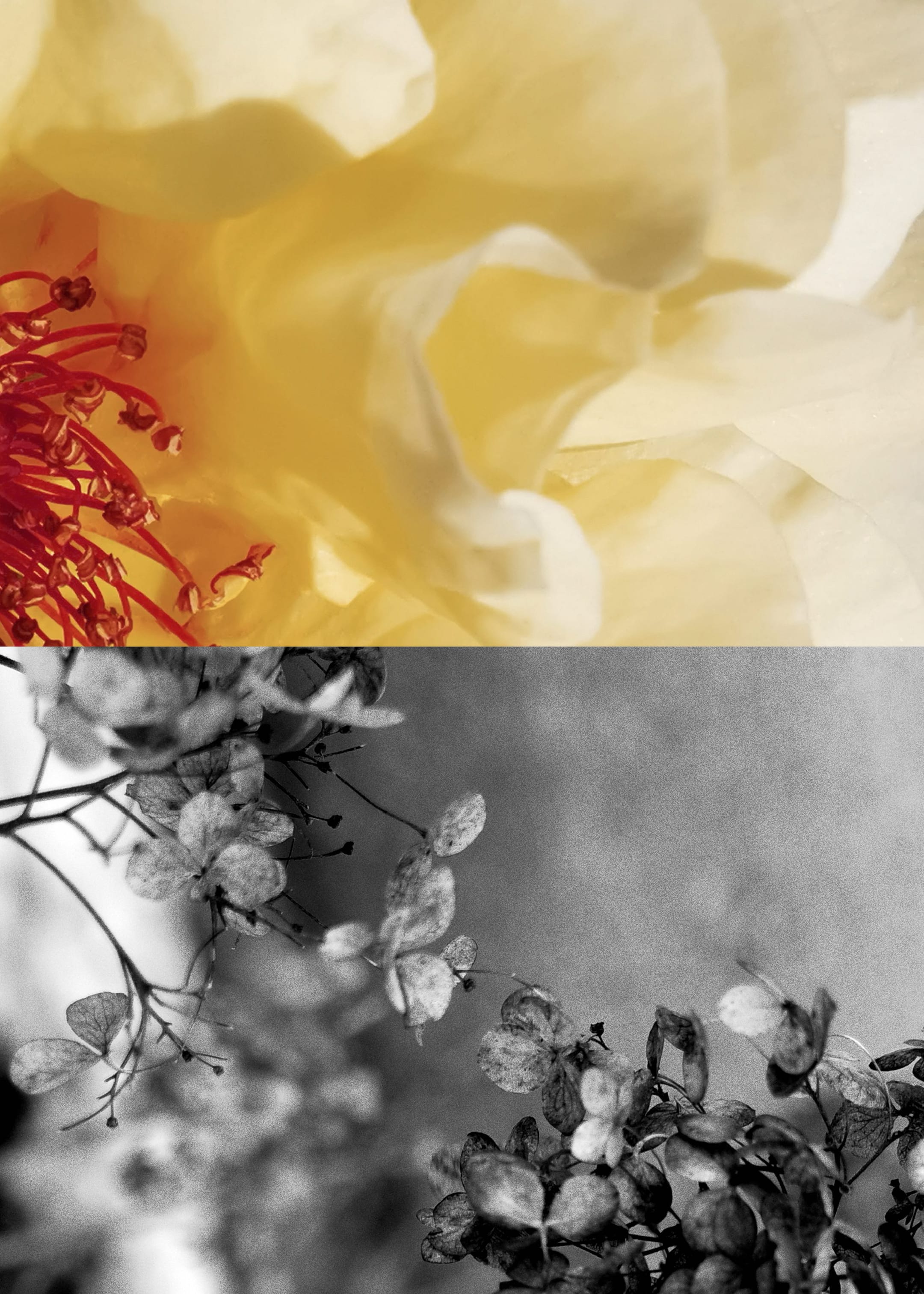 Näytä suurempi kuva: Eau de Toilette Collection - Poem A Day - Beauty all | H&M FI 1