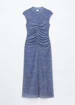 Blue/Leopard Print